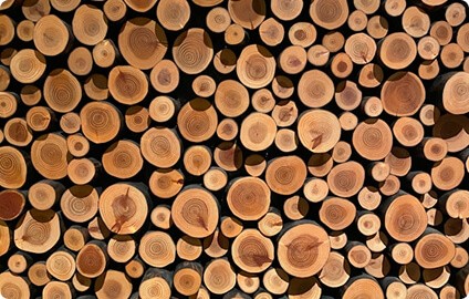 Avantages du bois massif pour la construction